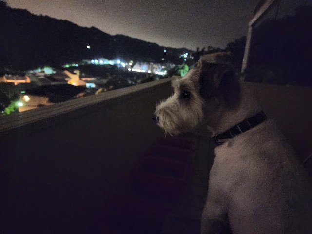 20220728_014437.jpg