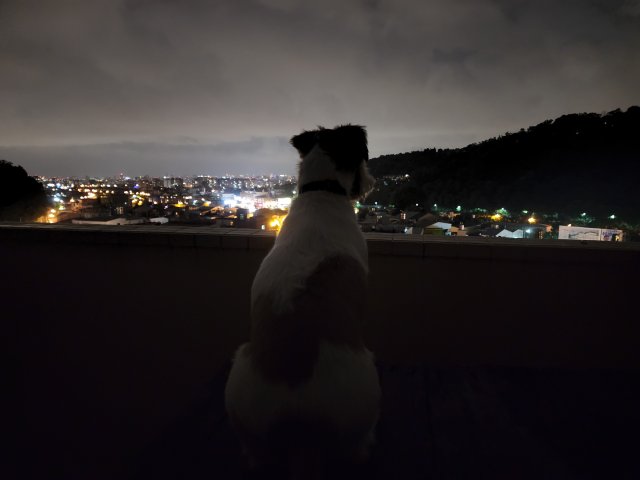 20220811_222940.jpg