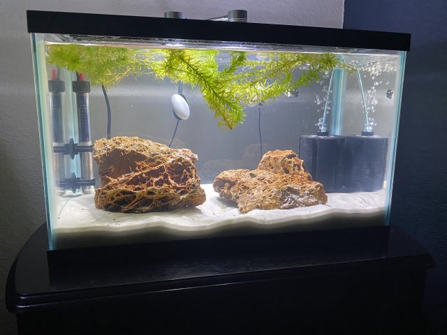 10 Gal front .jpg