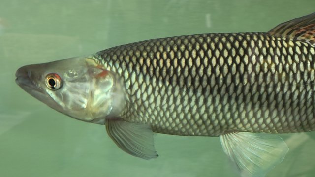 1000022430.jpg 1000022430.jpg