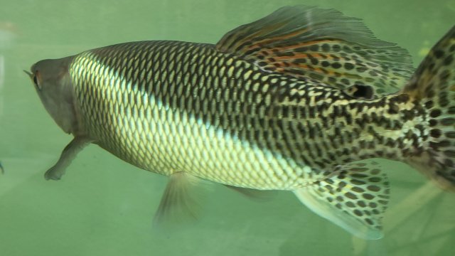1000022431.jpg 1000022431.jpg