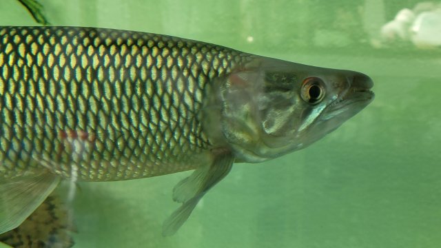 1000022428.jpg 1000022428.jpg