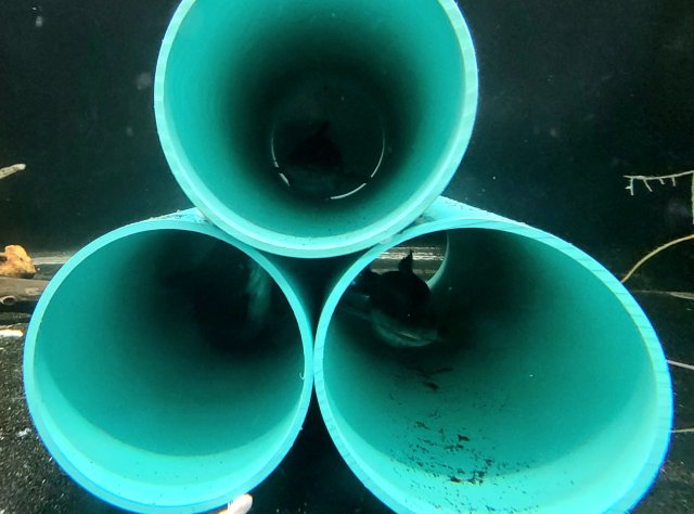 20240411_180357.jpg