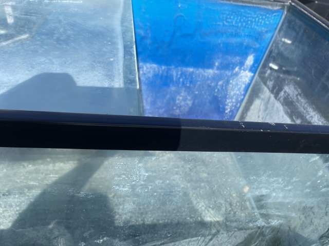 IMG_7091.jpeg