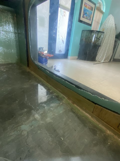 IMG_6381.jpeg