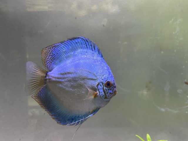 IMG_5219.jpeg
