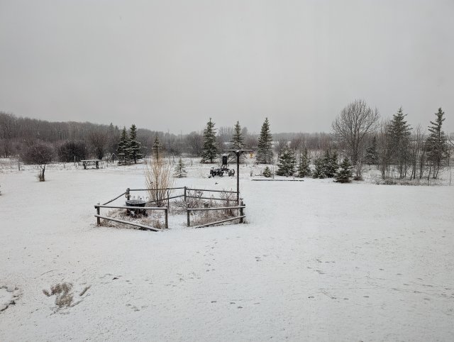 PXL_20240417_122255913.jpg