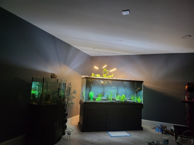 1000030887.jpg 1000030887.jpg