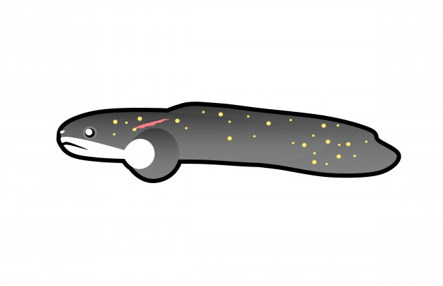 그림2.jpg 그림2.jpg