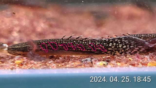 KakaoTalk_20240425_194335427.png KakaoTalk_20240425_194335427.png