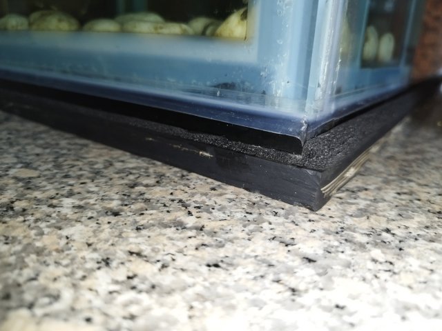 AIMG_20240427_125917.jpg