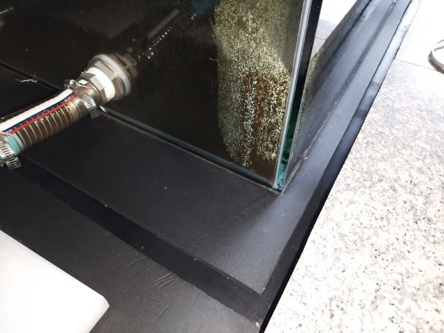 AIMG_20240427_125941.jpg