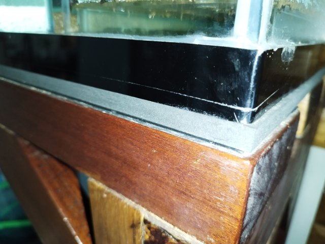 AIMG_20240427_130001.jpg
