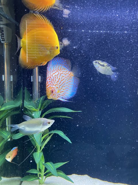 Feeding Time 1.jpg