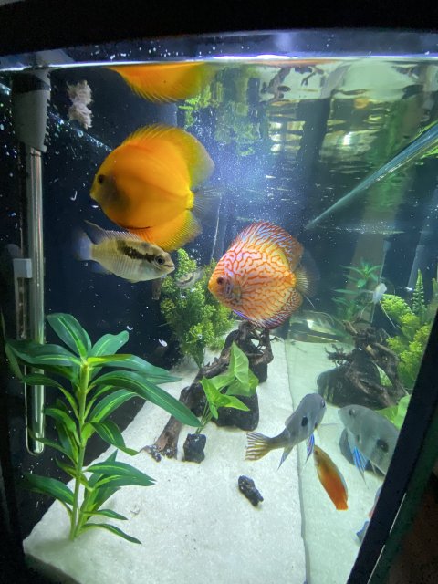 Feeding Time 2.jpg