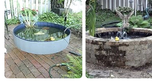 IMG_3278.jpeg IMG_3278.jpeg