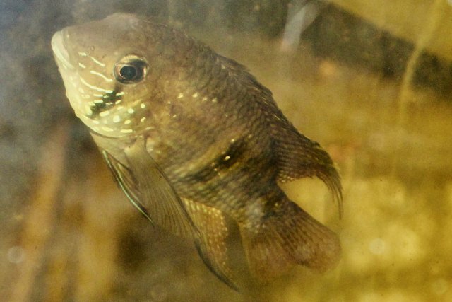 IMG_4891.jpeg IMG_4891.jpeg