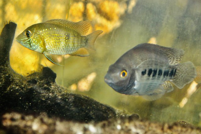 IMG_5772.jpeg IMG_5772.jpeg