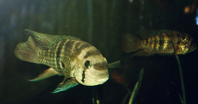 IMG_6591.jpeg IMG_6591.jpeg