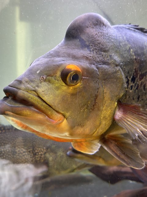 IMG_8324.jpeg IMG_8324.jpeg