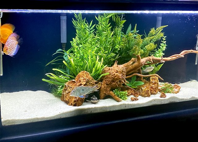 New Clothes for the Tank.jpg