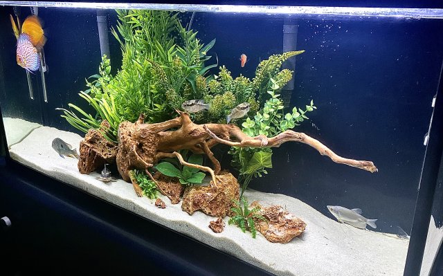 New Clothes for the Tank 2.0.jpg