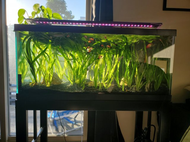 20230512_192133.jpg