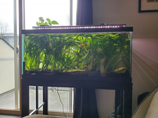20230408_162251.jpg