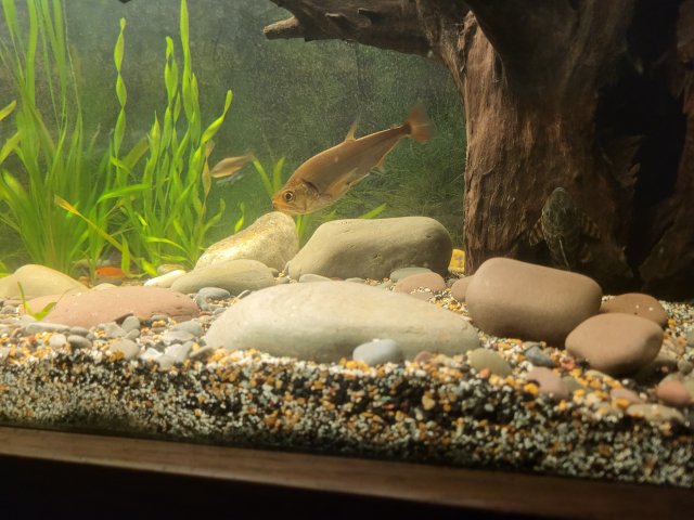 20240507_005040.jpg