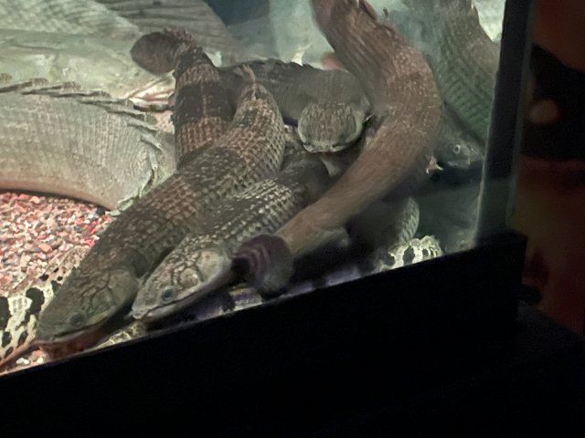IMG_5409.jpeg