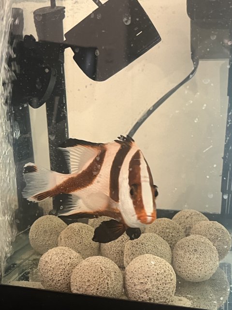 IMG_2210.jpeg IMG_2210.jpeg