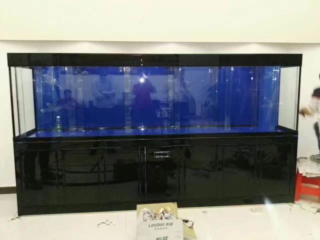 20e421e86c08080851c481c14aff8b5e.jpeg 20e421e86c08080851c481c14aff8b5e.jpeg