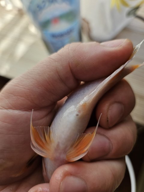 20240511_102646.jpg