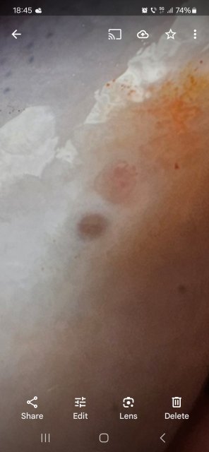 Screenshot_20240511_184550_Photos.jpg