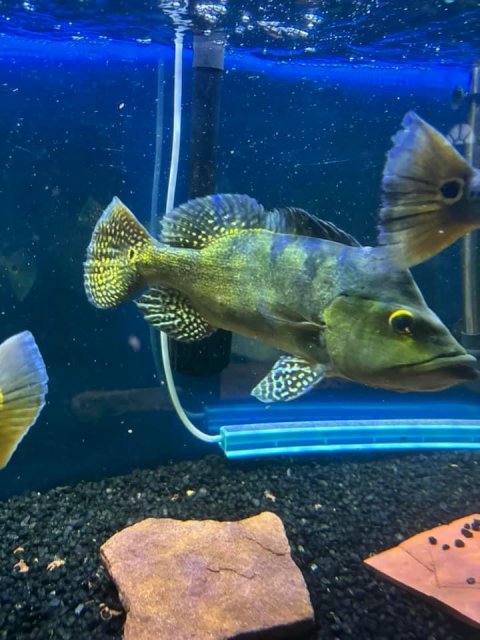 IMG_7769.jpeg IMG_7769.jpeg