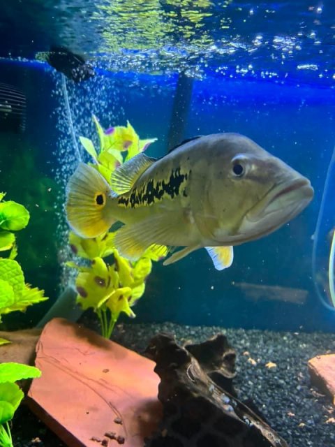 IMG_7766.jpeg IMG_7766.jpeg