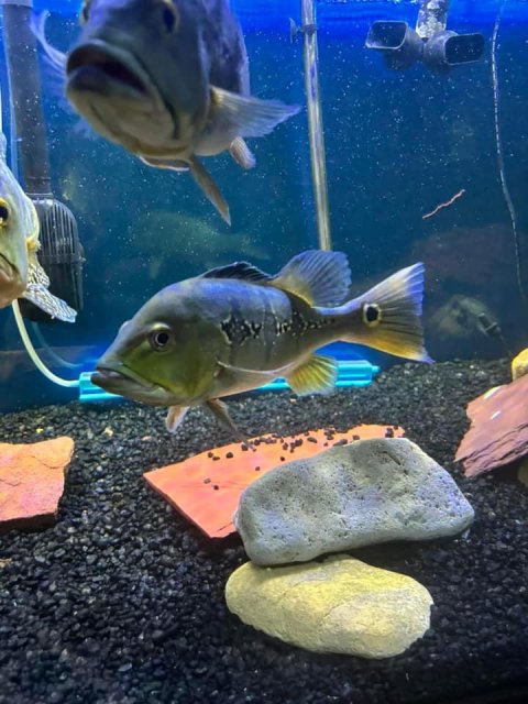 IMG_7767.jpeg IMG_7767.jpeg