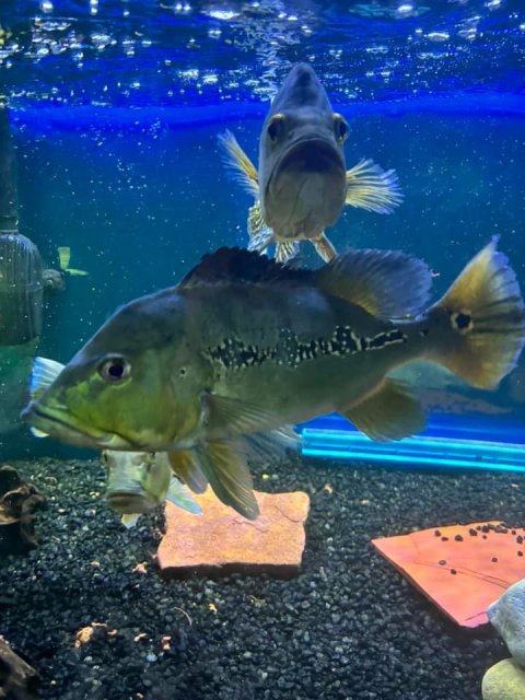 IMG_7768.jpeg IMG_7768.jpeg