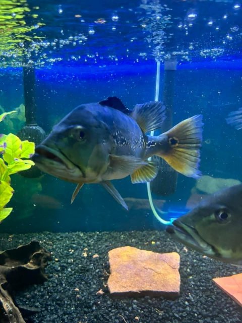 IMG_7765.jpeg IMG_7765.jpeg