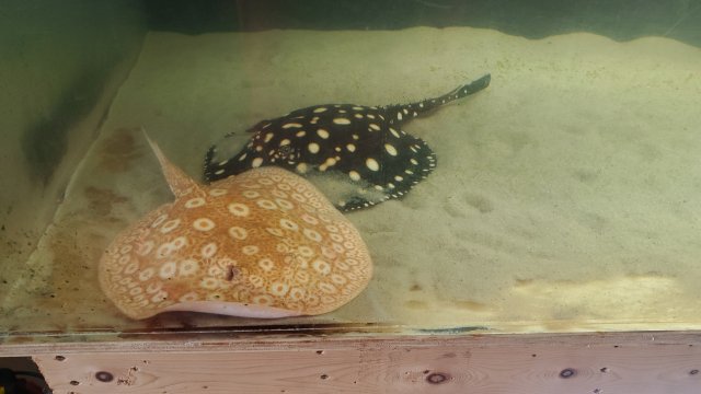 20240512_151515.jpg 20240512_151515.jpg