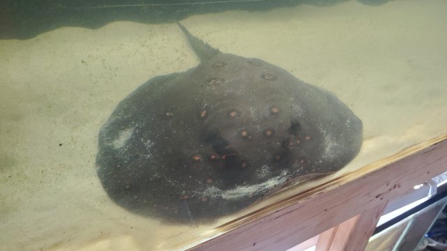 20240512_151502.jpg 20240512_151502.jpg