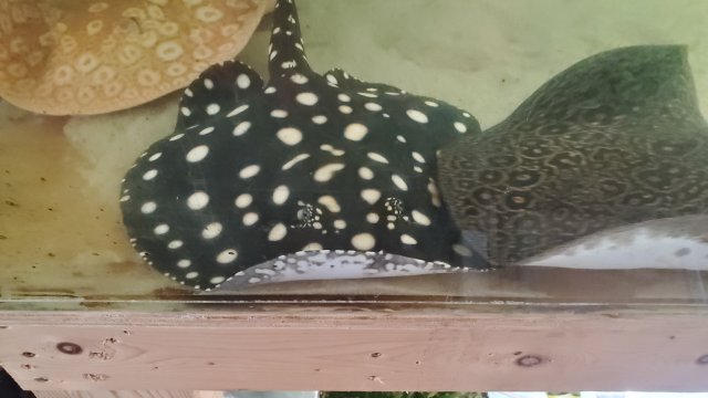 20240512_151454.jpg 20240512_151454.jpg