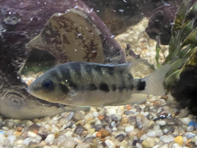 IMG_2964.jpeg IMG_2964.jpeg