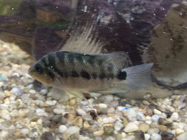 IMG_2967.jpeg IMG_2967.jpeg