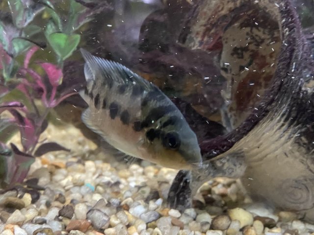 IMG_2954.jpeg IMG_2954.jpeg