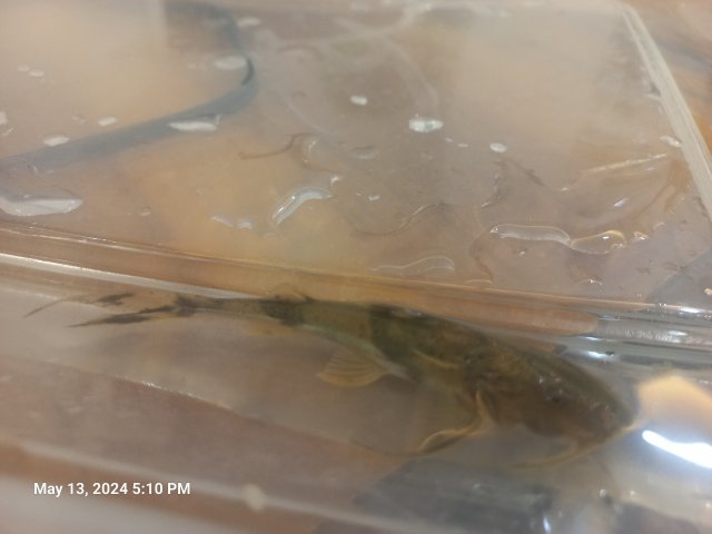 20240513_171055.jpg