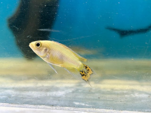 IMG_3623.jpeg