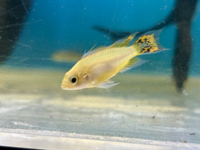 IMG_3620.jpeg