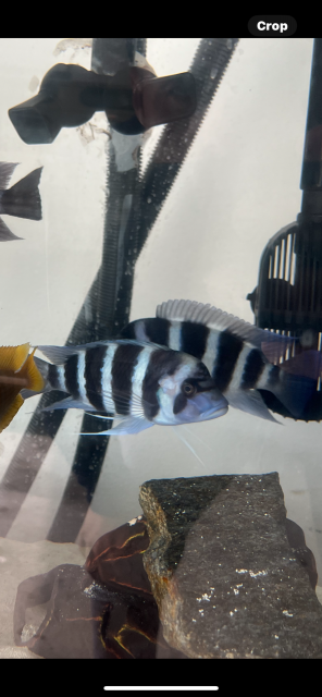 IMG_5244.PNG IMG_5244.PNG