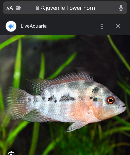 IMG_3005.jpeg IMG_3005.jpeg